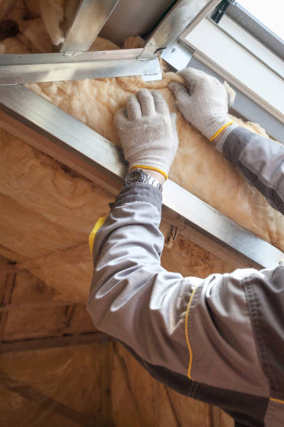 Best Insulation Maintenance and Repair in Rock Creek, AL